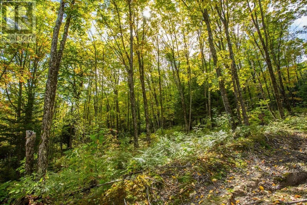 . Gordon Lake Road and Carter Side Road Part 1