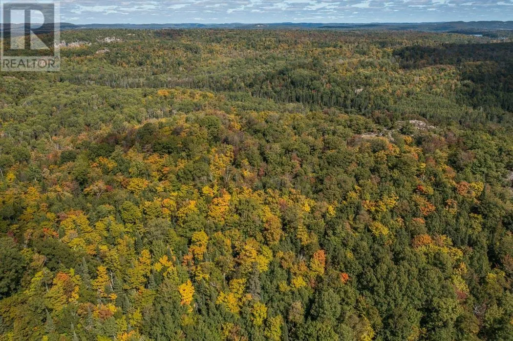 . Gordon Lake Road and Carter Side Road Part 1