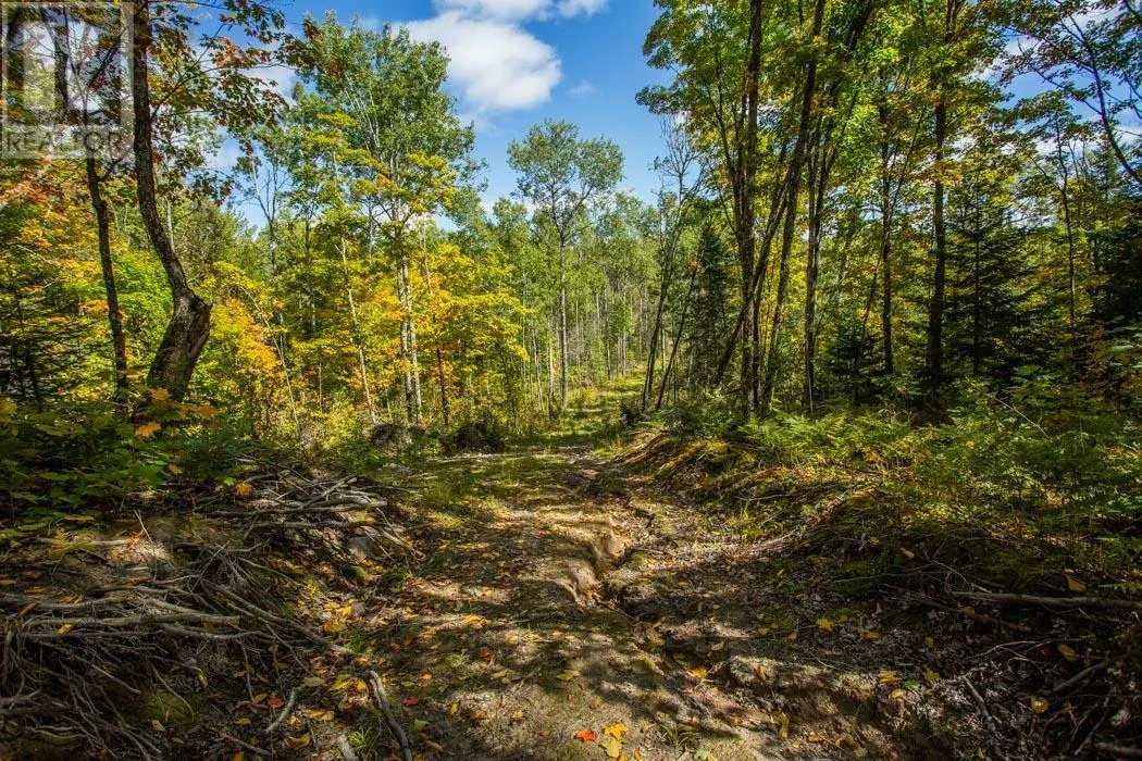 . Gordon Lake Road and Carter Side Road Part 1