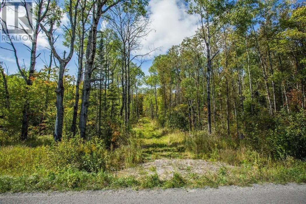 . Gordon Lake Road and Carter Side Road Part 1