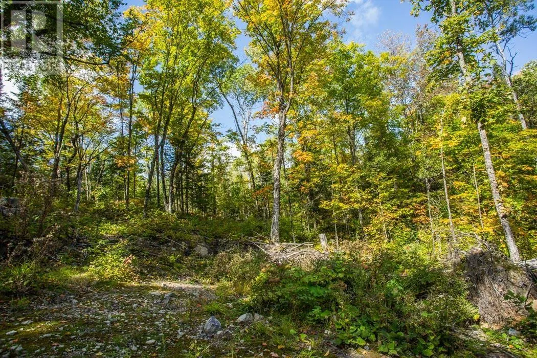 . Gordon Lake Road and Carter Side Road Part 1