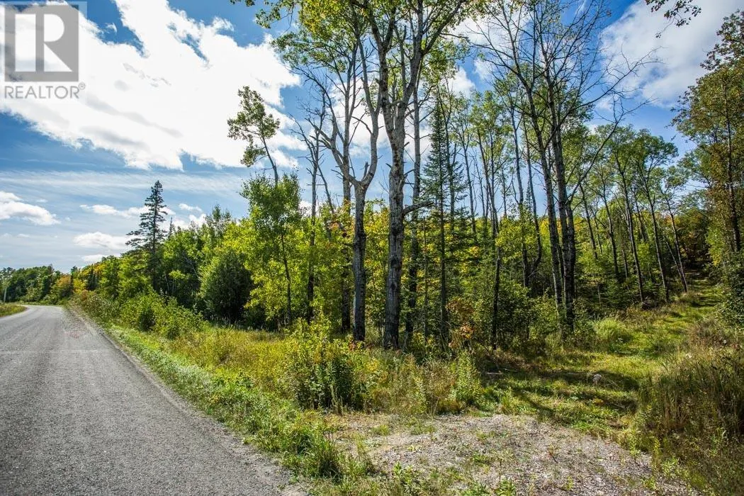 . Gordon Lake Road and Carter Side Road Part 1
