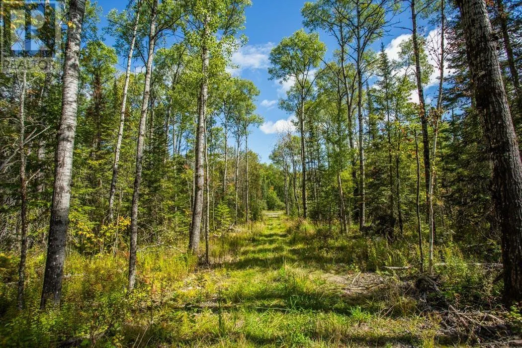 . Gordon Lake Road and Carter Side Road Part 1