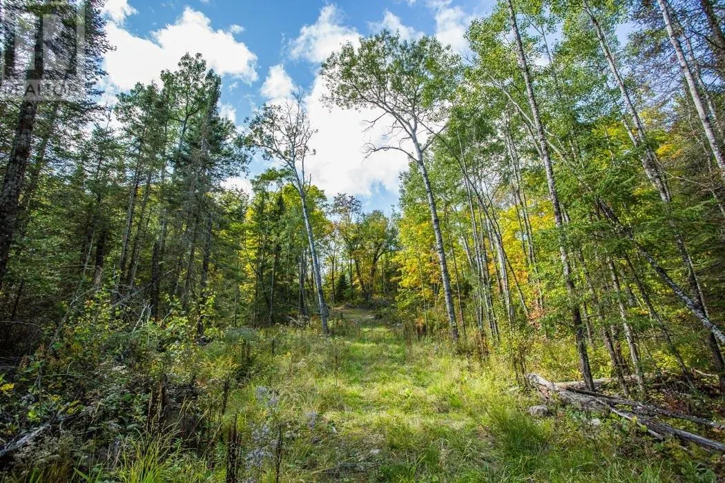 . Gordon Lake Road and Carter Side Road Part 1