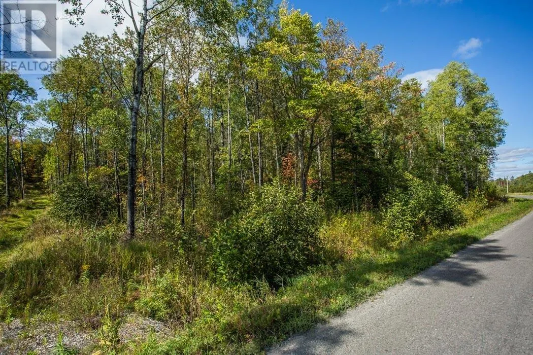 . Gordon Lake Road and Carter Side Road Part 1