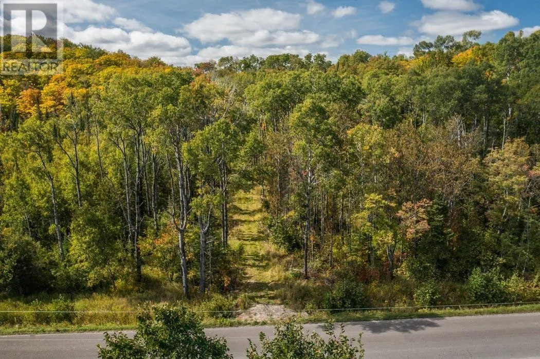 . Gordon Lake Road and Carter Side Road Part 1