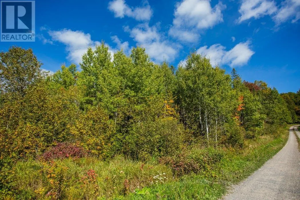. Gordon Lake Road and Carter Side Road Part 1