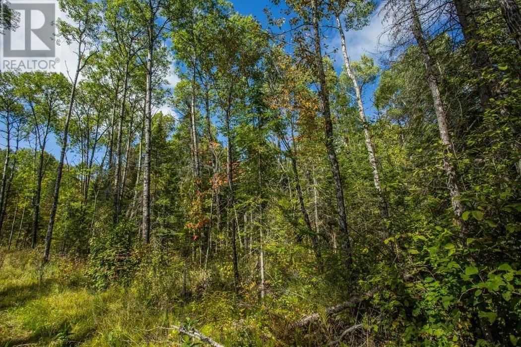 . Gordon Lake Road and Carter Side Road Part 1