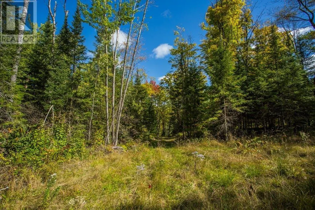 . Gordon Lake Road and Carter Side Road Part 1
