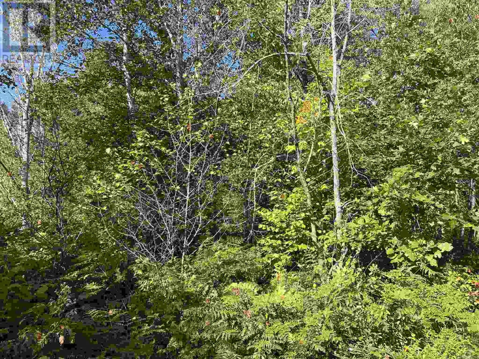 LOT 2 Glen ST