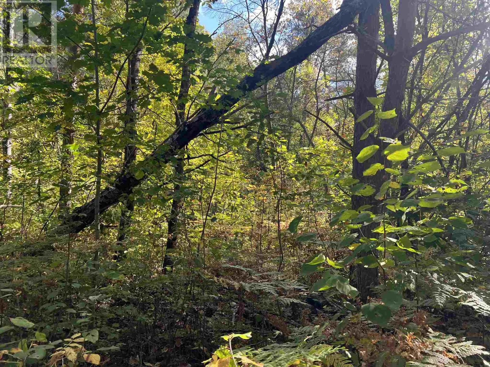 LOT 2 Glen ST