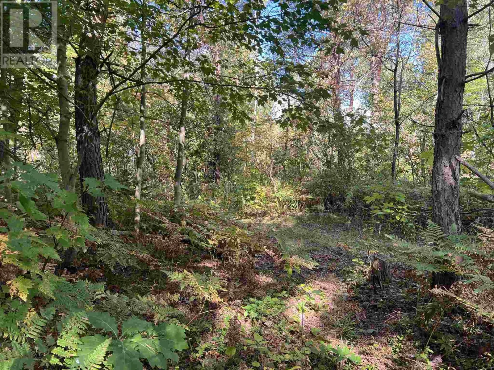 LOT 2 Glen ST