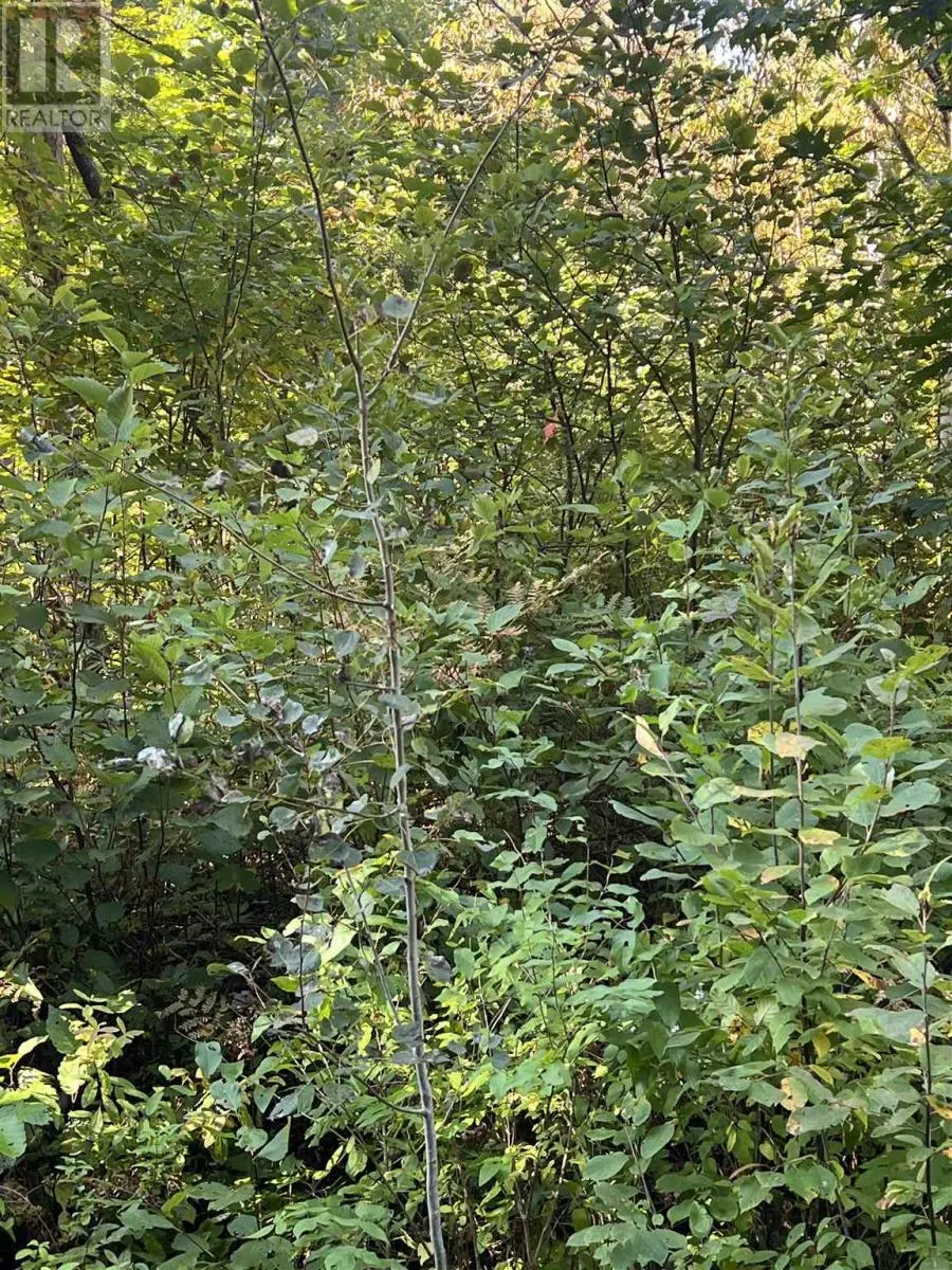 LOT 2 Glen ST