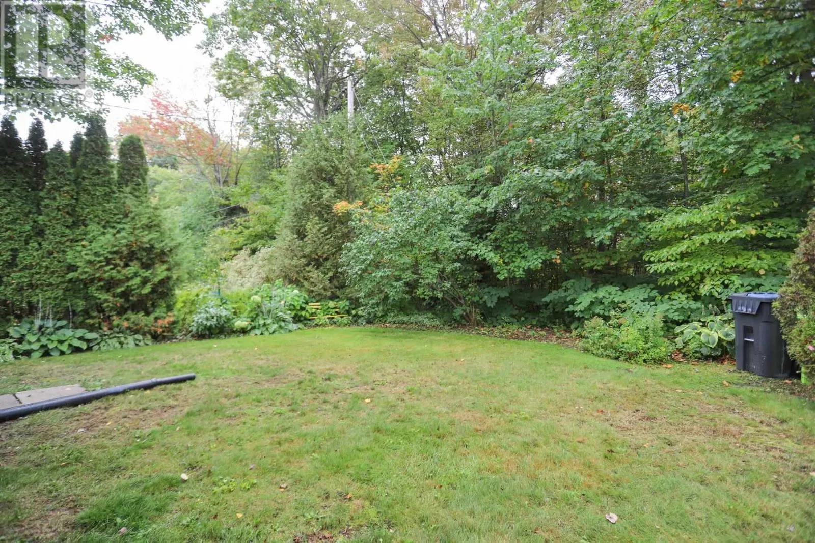 118 Plaintree DR