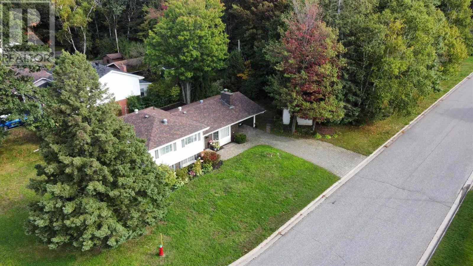 118 Plaintree DR