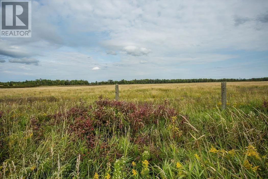 3064 Government RD|Whole package