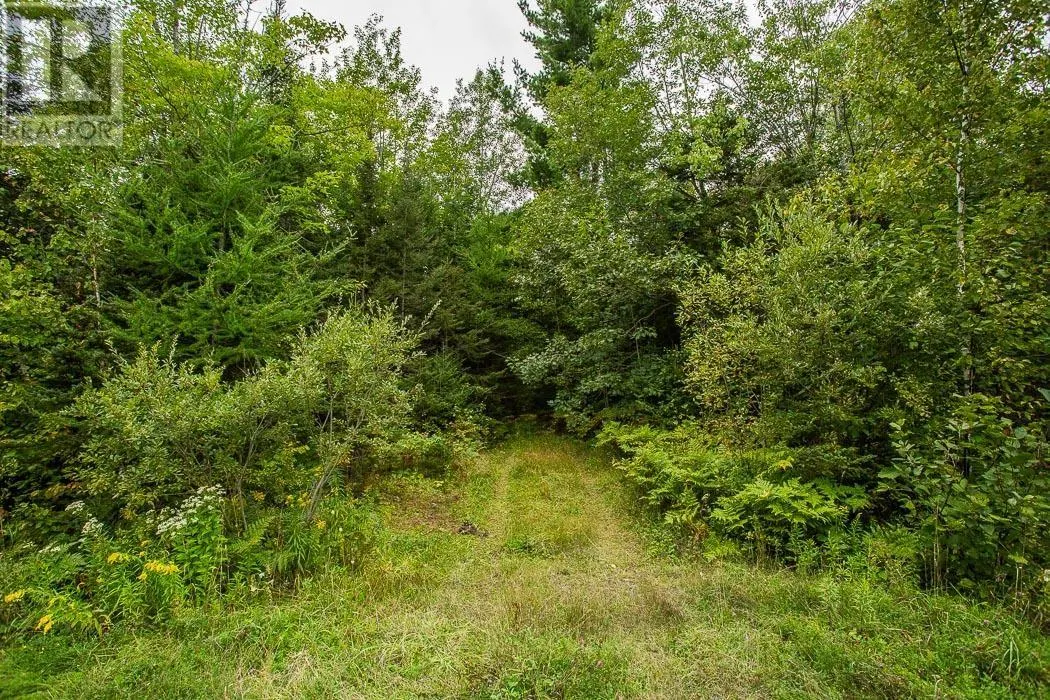 361 MacLennan/Rydall Mill Road|Property 3