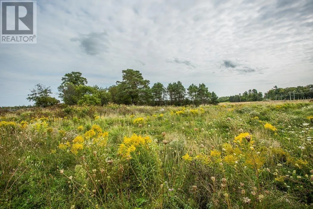 MacLennan Road/Hwy 17 SE Corner|Property 5