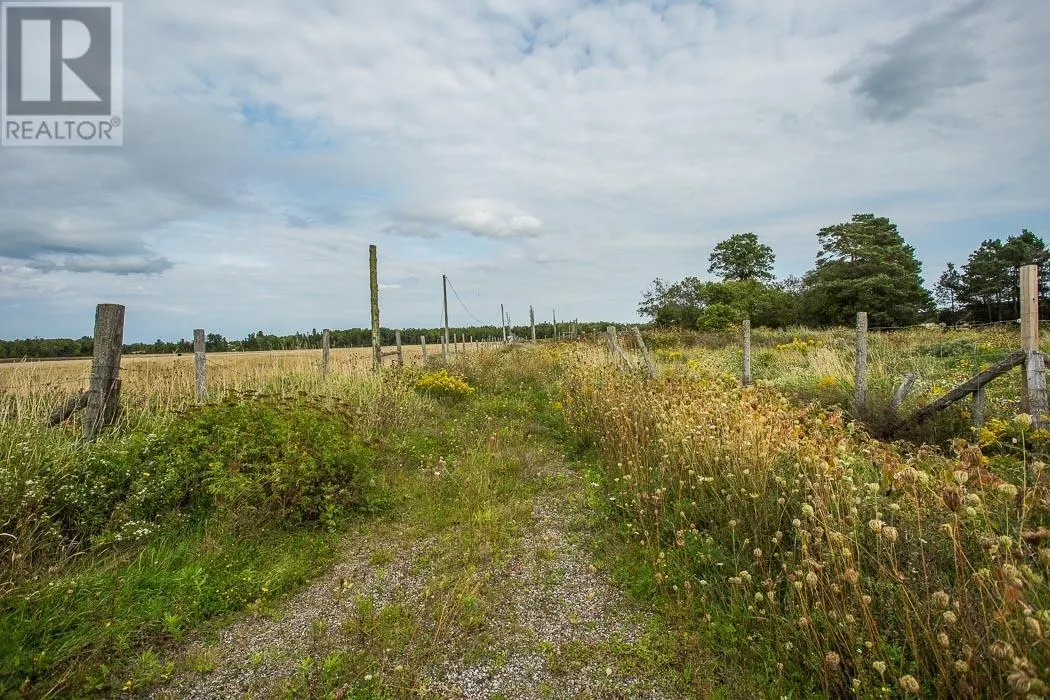 MacLennan Road/Hwy 17 SE Corner|Property 5