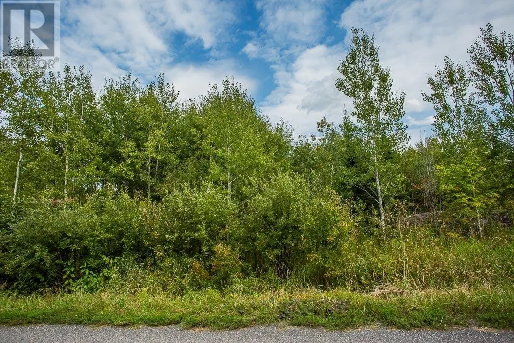 McKnight Road East Side/North of Hwy 17 Property 6|Property 6