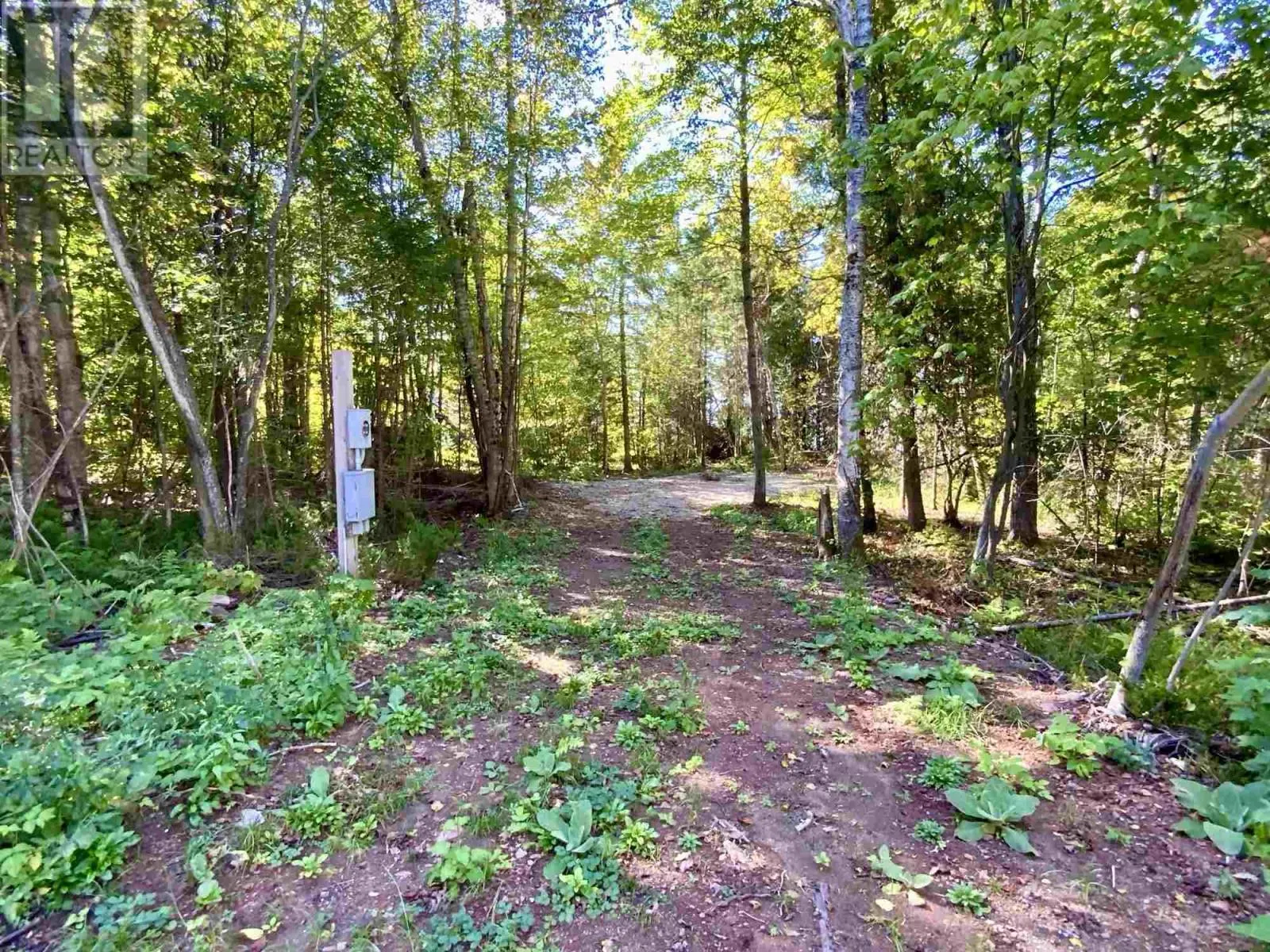 Lot 35 Four Seasons