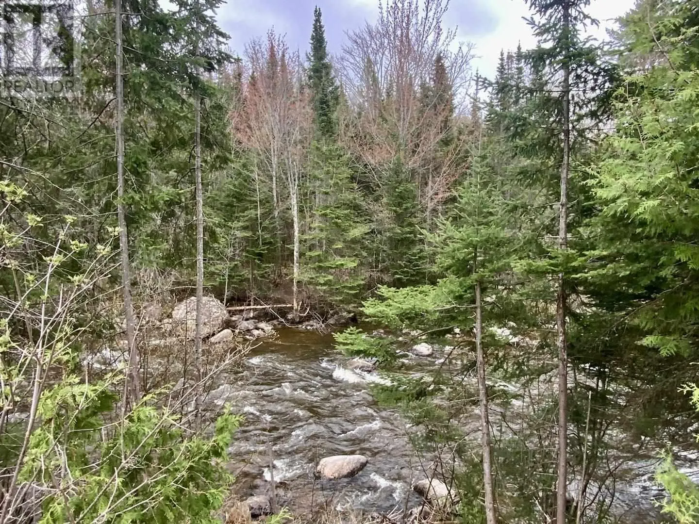 19 Northwoods DR