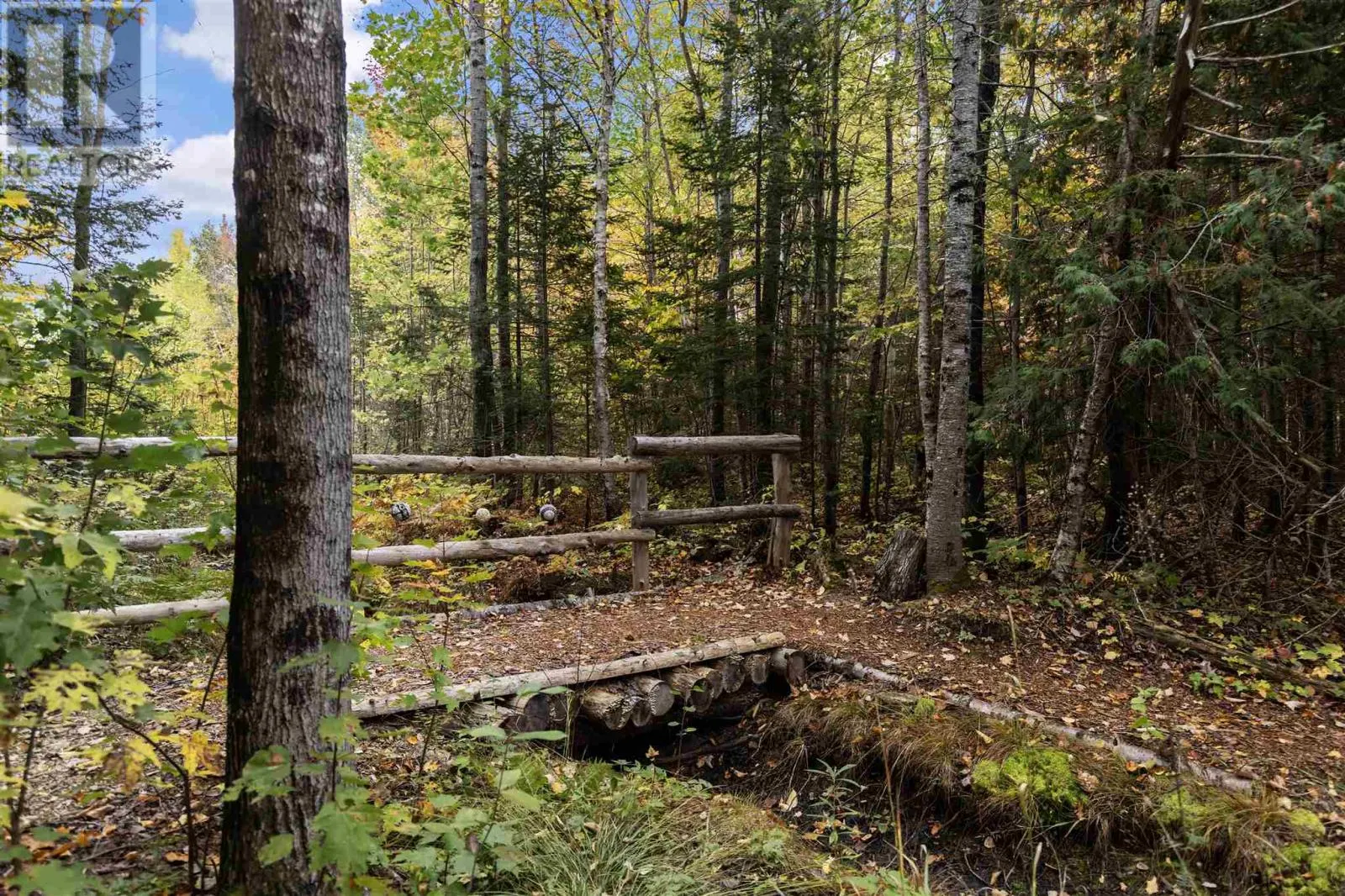 33 Pine Shores RD