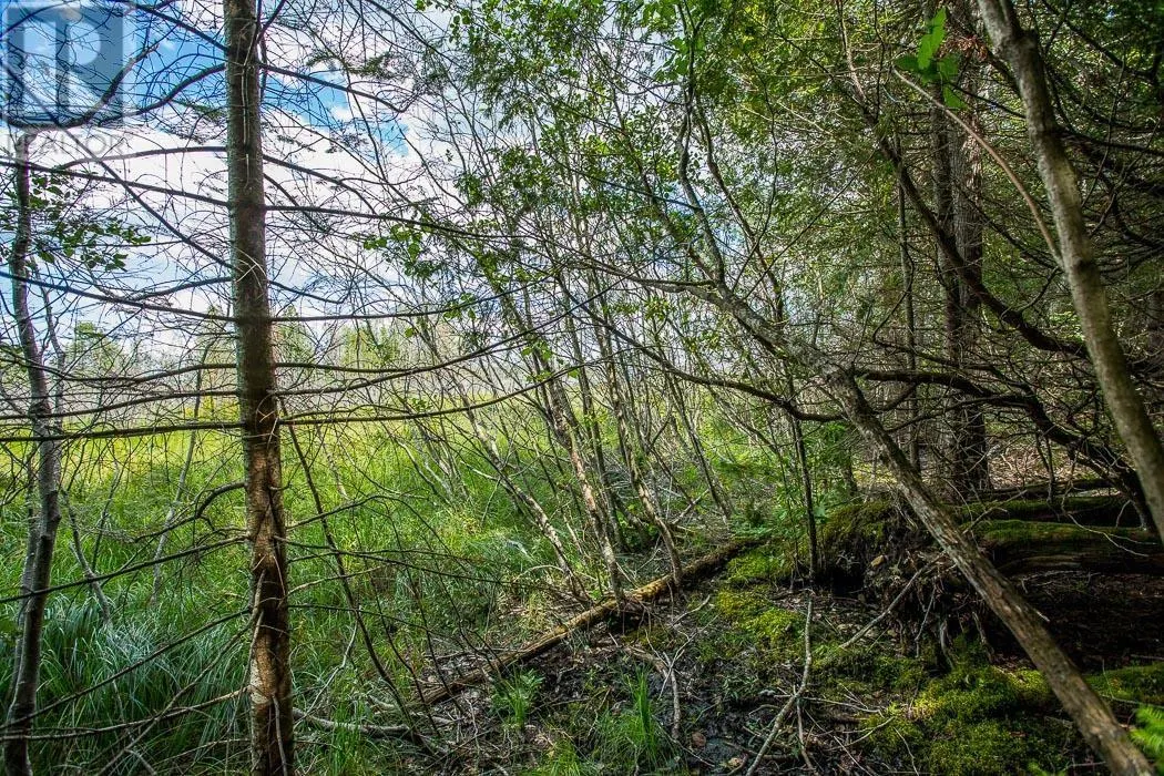 Lot 28 Richmond Bay RD