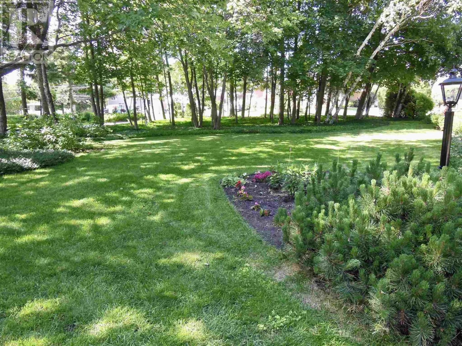 471 MacDonald AVE