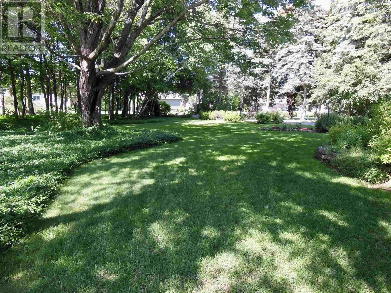 471 MacDonald AVE