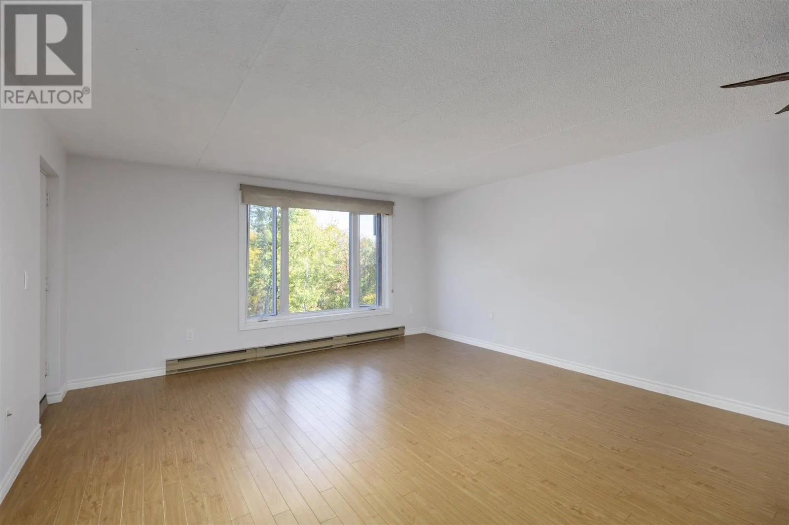 313 MacDonald AVE # 309