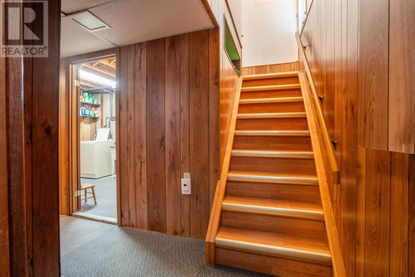12 Arbor DR