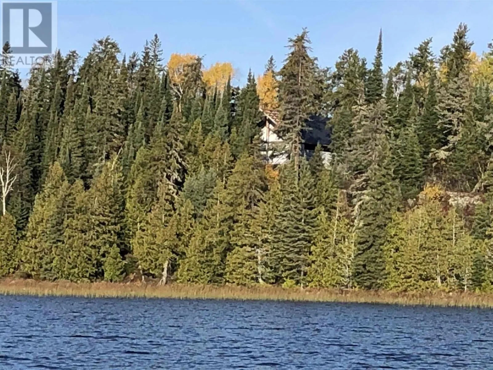 PCL 50 Dog Lake