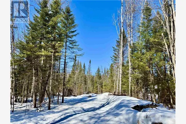 Lot 81 Old Highway 17