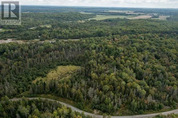 Trunk Road at Highway 17 East|Huron Shores Township