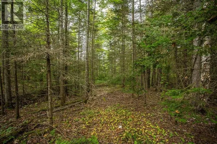 Trunk Road at Highway 17 East|Huron Shores Township