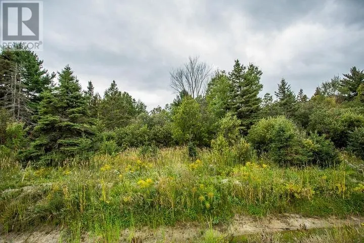 Trunk Road at Highway 17 East|Huron Shores Township