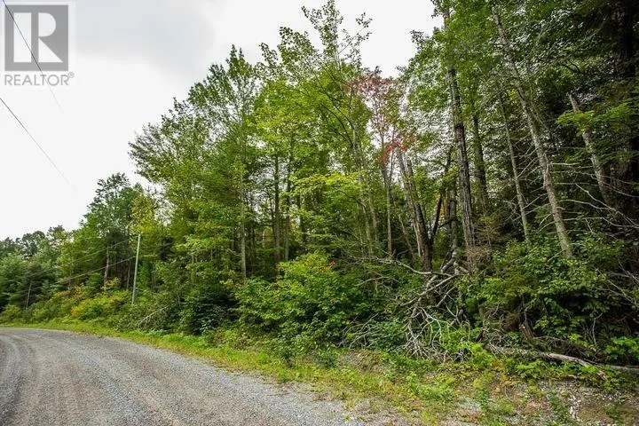 Trunk Road at Highway 17 East|Huron Shores Township