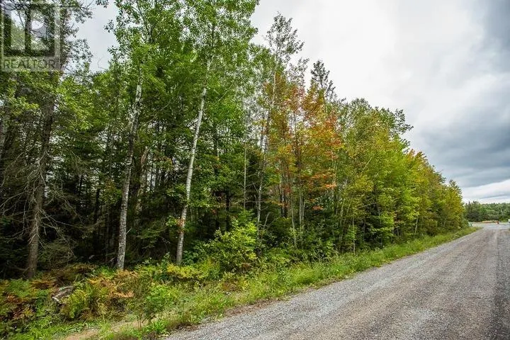 Trunk Road at Highway 17 East|Huron Shores Township