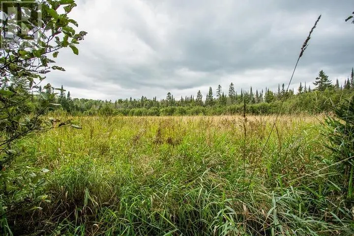 Trunk Road at Highway 17 East|Huron Shores Township