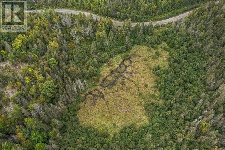 Trunk Road at Highway 17 East|Huron Shores Township