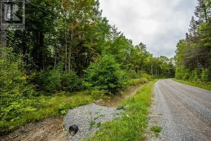 Trunk Road at Highway 17 East|Huron Shores Township