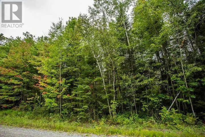 Trunk Road at Highway 17 East|Huron Shores Township