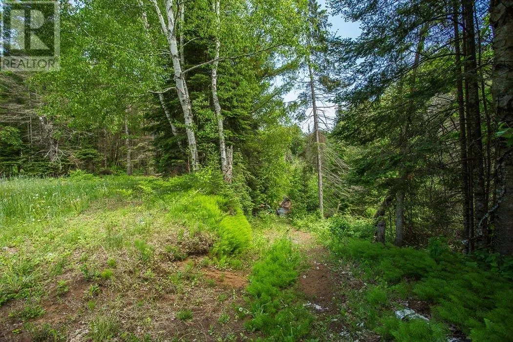 46 Collver RD|Huron Shores Township