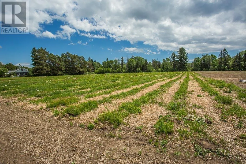 46 Collver RD|Huron Shores Township