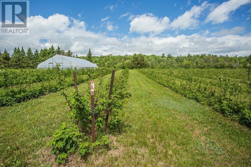 46 Collver RD|Huron Shores Township