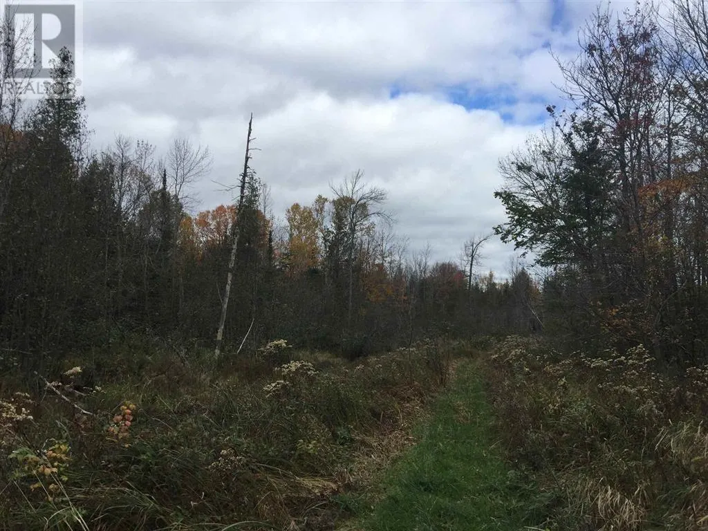 Lot 2 & 3 Con Nelson DR