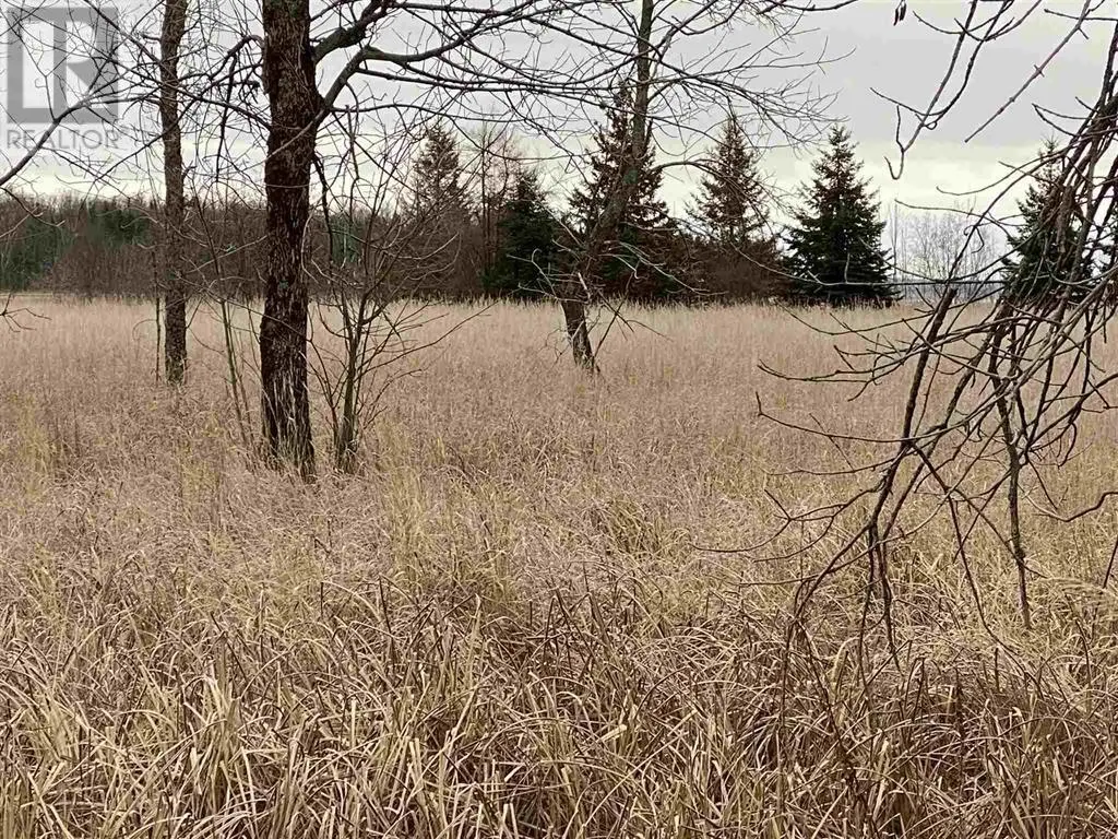 Lot 2 & 3 Con Nelson DR
