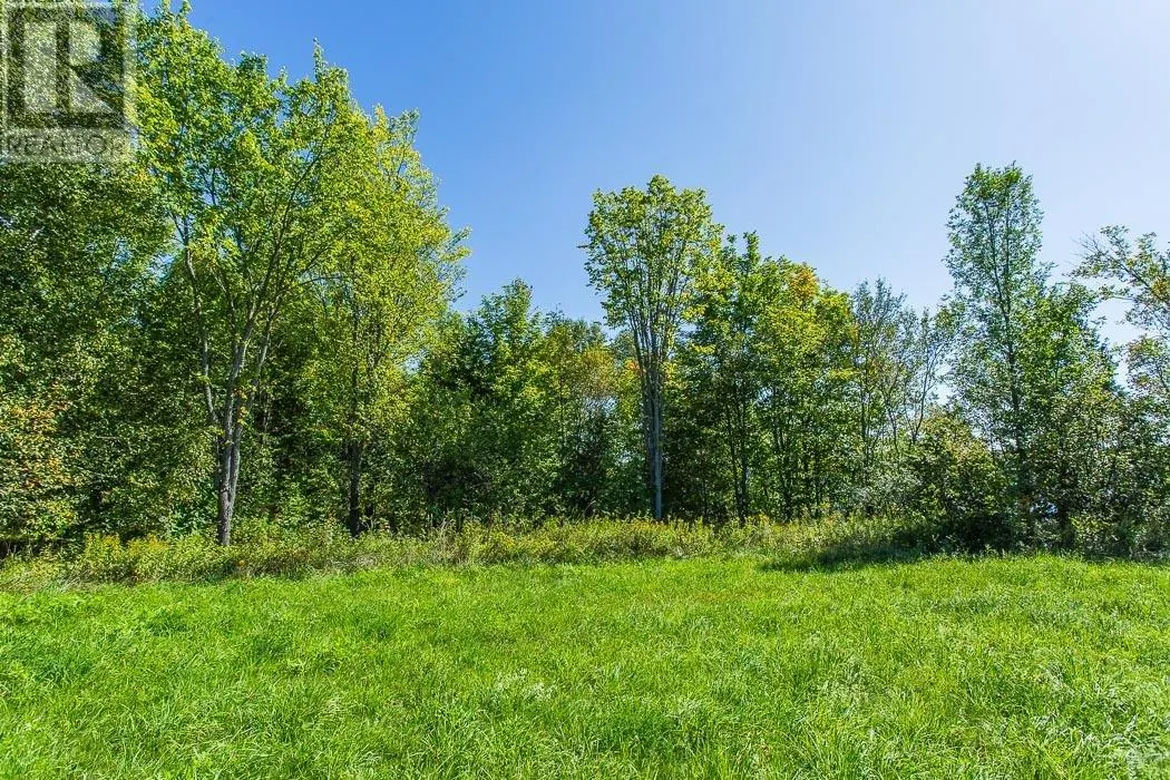 728 Basswood Lake RD