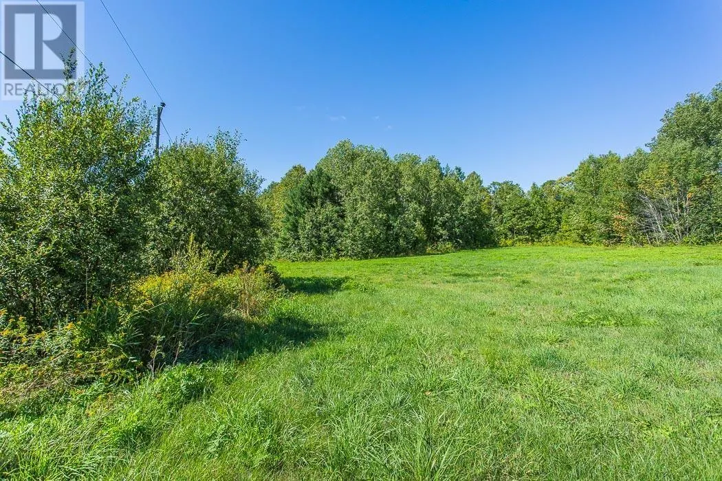 728 Basswood Lake RD